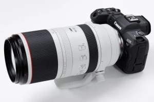 Canon RF100-500mm F4.5-7.1L IS USM実写レビュー。伝統と進化が感じられる次世代の王道超望遠ズームレンズ - Rentio PRESS[レンティオプレス]