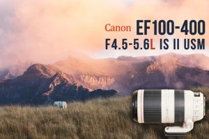 キヤノンEF100-400mm F4.5-5.6L IS II USMの作例とレビュー。望遠レンズの神器。 | ZINEえぬたな