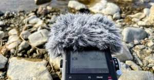 【DSD vs LPCM】異なる録音設定ではどれだけ音が変わるのか？SONY PCM-D100で比較してみた！ ｜Yuri Urano｜note