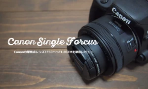 Canonの撒き餌・単焦点レンズEF 50mm F1.8 STM実写レビュー