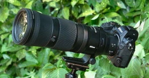 待望の“手が届く”超望遠ズーム「NIKKOR Z 180-600mm f/5.6-6.3 VR」レビュー - 価格.comマガジン