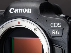 Canon EOS R6 Review: not the hybrid king, but a great photographers' camera