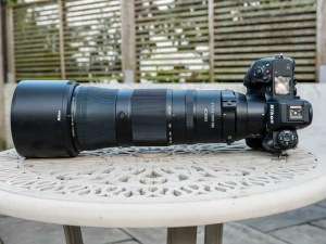 Nikon Z 180-600mm f/5.6-6.3 VR Review | Photography Blog