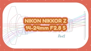【レンズ性能評価】NIKON NIKKOR Z 14-24mm f/2.8 S 前編 広角端-分析030