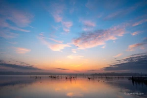 NIKKOR Z 24-120mm試し撮り | ちばろぐの裏側