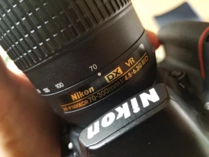 【カメラ】ニコン AF-P DX NIKKOR 70-300mm f/4.5-6.3G ED VR｜実写レビュー