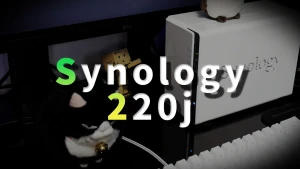 Synology DS220j 家庭用NASでPCやスマホの中を整理しよう【実機レビュー】