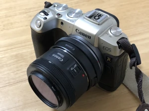 【CANON EF50mm F1.8 STM レビュー】キヤノンの撒き餌レンズはとりあえず買って損はないと思う。