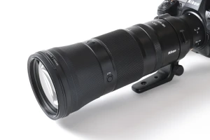 交換レンズレビュー：NIKKOR Z 180-600mm f/5.6-6.3 VR 軽量ボディで幅広い焦点域をカバー コスパの良さも魅力の超望遠ズームレンズ