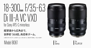 18-300mm F/3.5-6.3 Di III-A VC VXD (Model B061) image