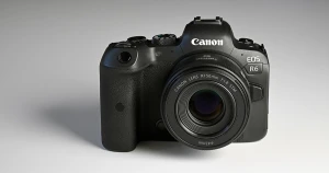 キヤノンの新“撒き餌レンズ”「RF50mm F1.8 STM」実写レビュー - 価格.comマガジン