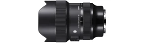 シグマ 14-24mm F2.8 DG DN はα7R IVでも驚異的な解像性能のレンズ【海外の評価】