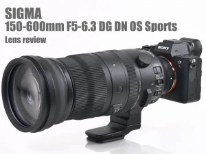 シグマ「150-600mm F5-6.3 DG DN OS」レンズレビュー 遠景解像編
