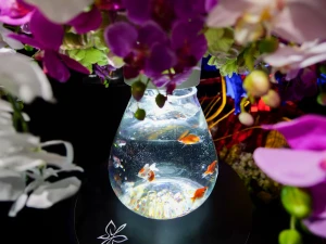 768: 一望千里を手中に収めん『Panasonic LEICA DG SUMMILUX 9mm F1.7 ASPH.』