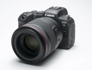 新製品レビュー：キヤノンの本気度200%、進化したミラーレス一眼 キヤノン EOS R6 スペシャルレビュー