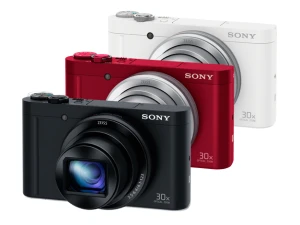 DSC-WX500 image