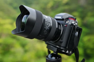 新製品レビュー：SIGMA 14-24mm F2.8 DG DN｜Art 絞り開放から実用的な周辺描写 長期使用からみえてきたこと