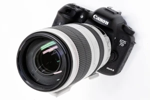 Canon EF100-400mm F4.5-5.6L IS II USM実写レビュー。誰もが憧れる王道レンズの実力を現役カメラマンが紹介 - Rentio PRESS[レンティオプレス]