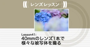 レンズレッスン - Lesson41：40mmのレンズ1本で様々な被写体を撮る | Enjoyニコン | ニコンイメージング