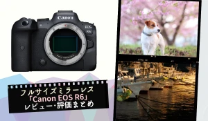 フルサイズミラーレス「Canon EOS R6」のレビューや評価をまとめてみた！