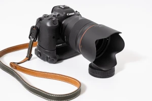 【Canon】EOS R6約1年使用レビュー！バッテリーグリップやおすすめレンズを解説