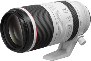 Canon RF100-500mm F4.5-7.1L IS USMを徹底解説。作例からレビューまで
