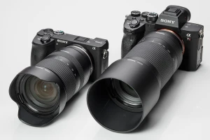 使い倒してわかった描写力に納得！ 小型軽量のタムロン大口径標準ズームと望遠ズーム実写レビュー