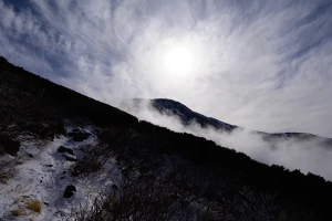 NIKKOR Z 14-24mm f/2.8 Sをあんまり迷わずに買ったので今更紹介したいと思う