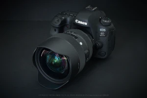 SIGMA 14-24mm F2.8 DG HSM Art を使ってみました。