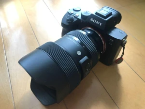SIGMA 14-24mm F2.8 DG DN | Artを購入！ニコンのAF-S NIKKOR 14-24mm f/2.8G EDからついに買い替えました。